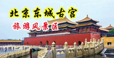 日本黄色网站免费看真人真事中国北京-东城古宫旅游风景区